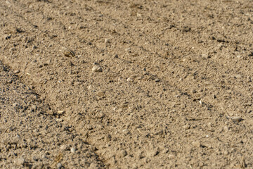 A freshly plowed agricultural field. Preparation of the soil for sowing wheat.