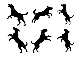 A vector illustration set of dogs dancing is perfect for pet lovers, veterinarians, or dog trainers. The background is white.