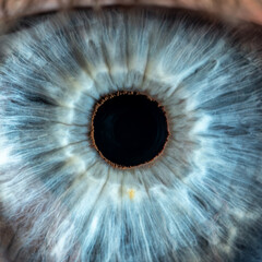 Close-up of male eye with blue coloured closed iris. Structural and anatomical details of human eye.