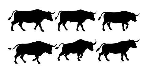 A set of different bull poses silhouettes. Farm animal. white background with Vector illustration.