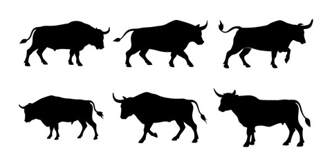 A set of different bull poses silhouettes. Farm animal. white background with Vector illustration.