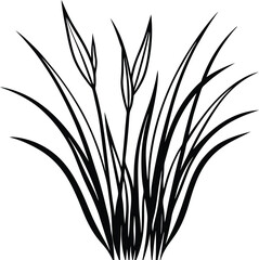 beautiful grass sketch silhouette