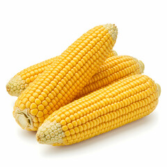 Sweet Corn: Fresh, Yellow, Organic