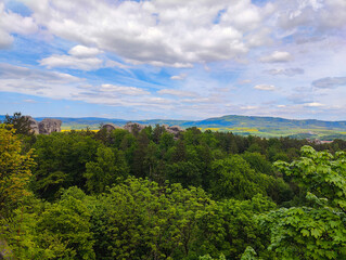 Fototapeta premium A view of a forested area with trees and mountains in the background