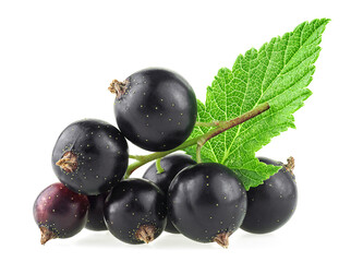 Berries of blackcurrant with green leaf isolated on a white background. Fresh fruits.