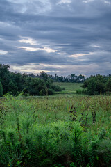 A Missouri field on a cloudy day