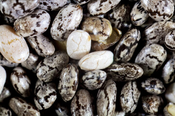 Macro of Chia seeds