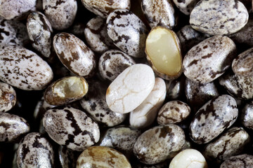 Macro of Chia seeds