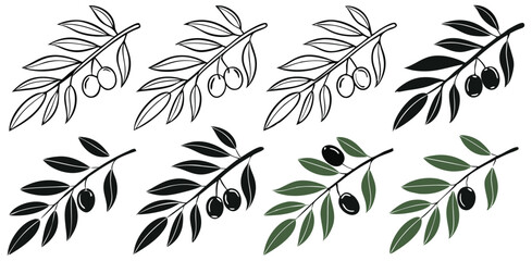 Elegant olive branch collection