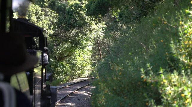 Rare Mallet Steam Locomotive in Action &ndash; Columbia River Belt Line No. 7 on Niles Canyon Railway