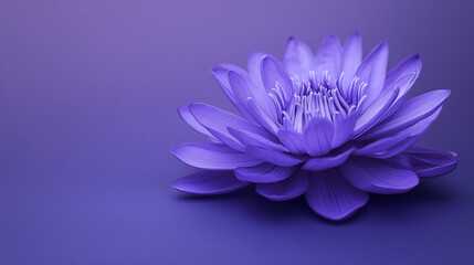 purple-blue lotus isolated on purple blue background. spiritual sixth and seventh chakra: ajna chakra, crown chakra.