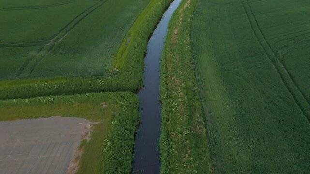 Aerial Top-Down of Winding Stream and Parallel Field Tracks | FlyLens 4K