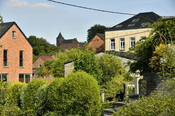 Forêt de Haies entre les maisons à Écaussinnes d'Enghien 