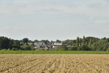Champs de pommes de terre après semence à Écaussinnes-Lalaing