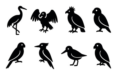 Naklejka premium Silhouette collection of diverse bird species in various poses