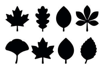 Silhouette illustrations of diverse leaf shapes on white background