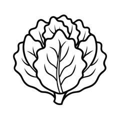 collard green outline line art vector