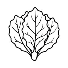 vector illustration of a leaf