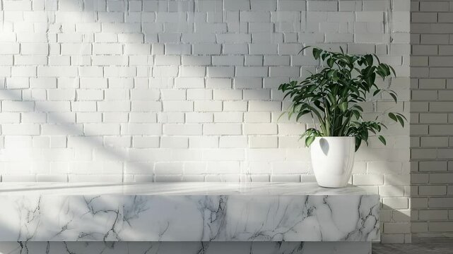 Minimalist interior with white brick wall, marble shelf and potted plant in bright sunlight