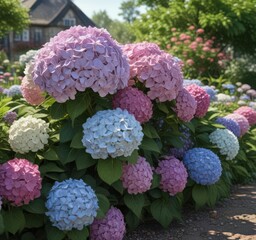 Large hydrangea, diverse garden flowers, charming setting, foliage, blue
