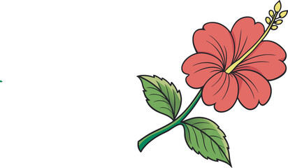 vector illustration of a hibiscus  flower on white