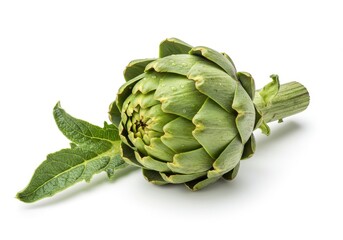 Obraz premium Close up of a fresh green artichoke with water droplets on a white surface