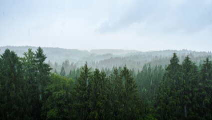 Fototapeta premium Misty Rainfall Over Forest Canopy – Cinematic Moody Landscape