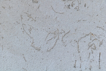 Abstract Light Texture of a Rough White Surface with Scratches and Impressions