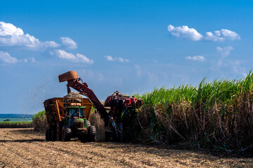 Harvesting machine working in sugar cane field in Brazil © AlfRibeiro