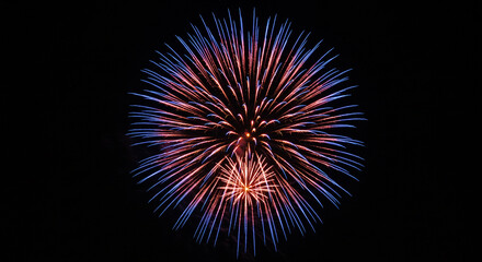Burst of celebratory fireworks illuminate the night sky with vibrant colors