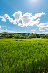 Vibrant Green Field Under a Bright Blue Sky with Fluffy White Clouds