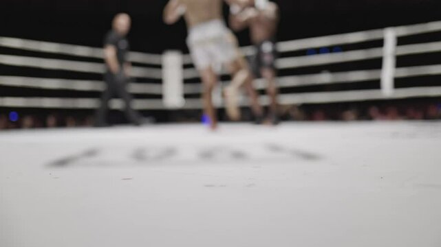 Low angle view of kickboxers fighting in a ring