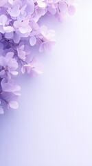 Frame of purple flowers isolated on white background with copy space. Flat lay border with eucalyptus leaves. Minimalistic nature template. Botanical banner, wedding invitation poster greeting card	