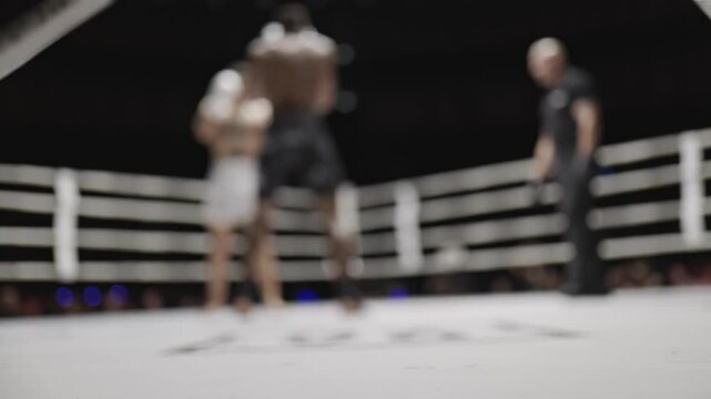 Blurred fighting championship in boxing ring with referee
