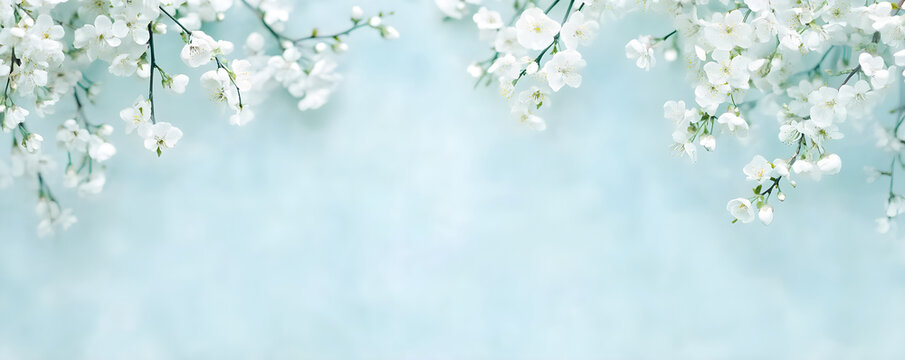 White spring flowers on blue bokeh background with copy space. Flat lay floral border with cherry blossoms. Template for greeting card, poster. Easter, Women's Day, Mother's Day or wedding banner - Powered by Adobe