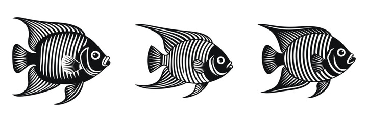 Stylish black and white vector graphic of three profile views of striped Angelfish.