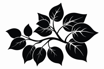 Elegant Black Silhouette Branch with Detailed Leaf Veins, Minimalist Vector Illustration Style