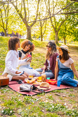 Cheerful multi ethnic women enjoying picnic in park during spring day