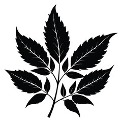 Bold Silhouette of a Detailed Leafy Branch with Pointed Leaves and Veins Illustration