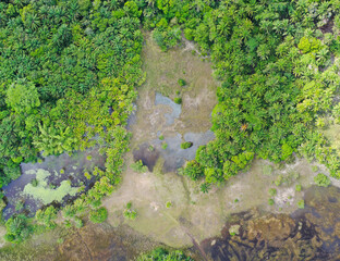 Forrest grass field and fresh water nature concept, Aerial top down