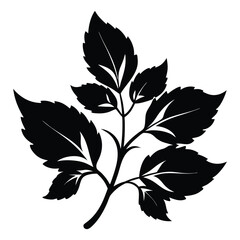 Elegant Silhouette Illustration Detailed Branch with Seven Leaves for Artistic Designs and Decoration