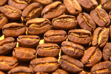 High-resolution image of roasted coffee beans with visible inner layers, displayed on a luxurious golden tray for food blogs.
