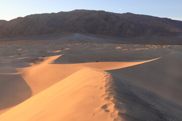 Fresh tracks in the morning on the Sand Dunes at Death Valley, California