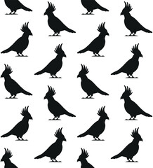 Vector seamless pattern of flat hand drawn cockatoo parrot silhouette isolated on white background