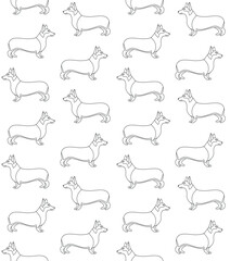 Vector seamless pattern of flat hand drawn outline corgi dog isolated on white background