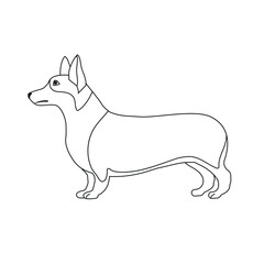 Vector flat hand drawn outline corgi dog isolated on white background