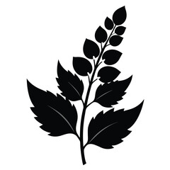 Silhouette of a Fern Frond with Leaflets and Stem Botanical Illustration