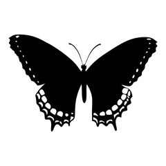 Elegant Black and White Butterfly Silhouette Illustration On A Clean White Background Vector Design