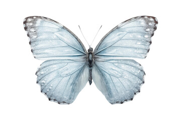 Obraz premium PNG Close-up of blue morpho butterfly with detailed wing patterns on black background