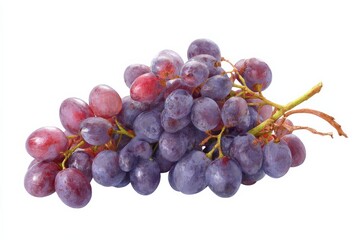 Fototapeta premium A bunch of ripe red and purple grapes, freshly picked and ready to eat.